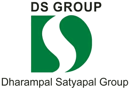 DS Group logo