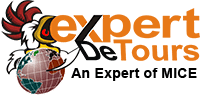 Expert De Tours logo